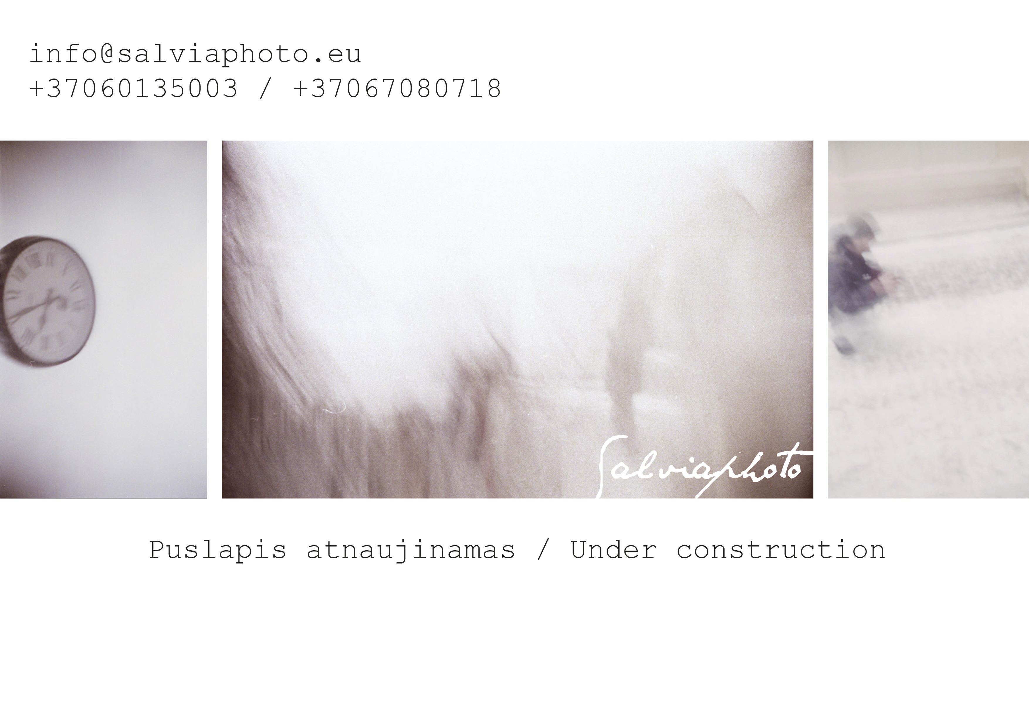 Salviaphoto